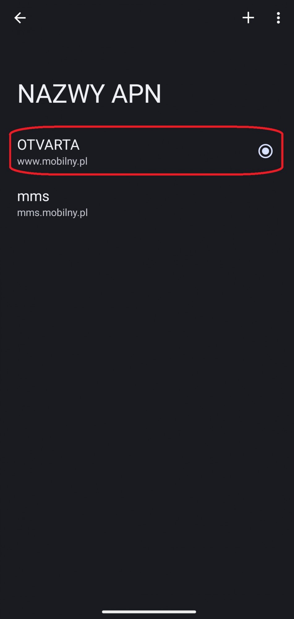 okno nazwy APN z zaznaczonym APN do internetu