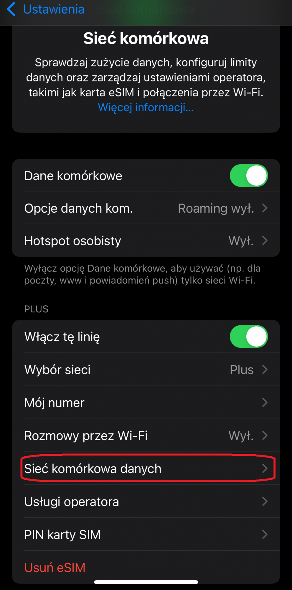 ekran ustawień sieci komórkowej w iphone
